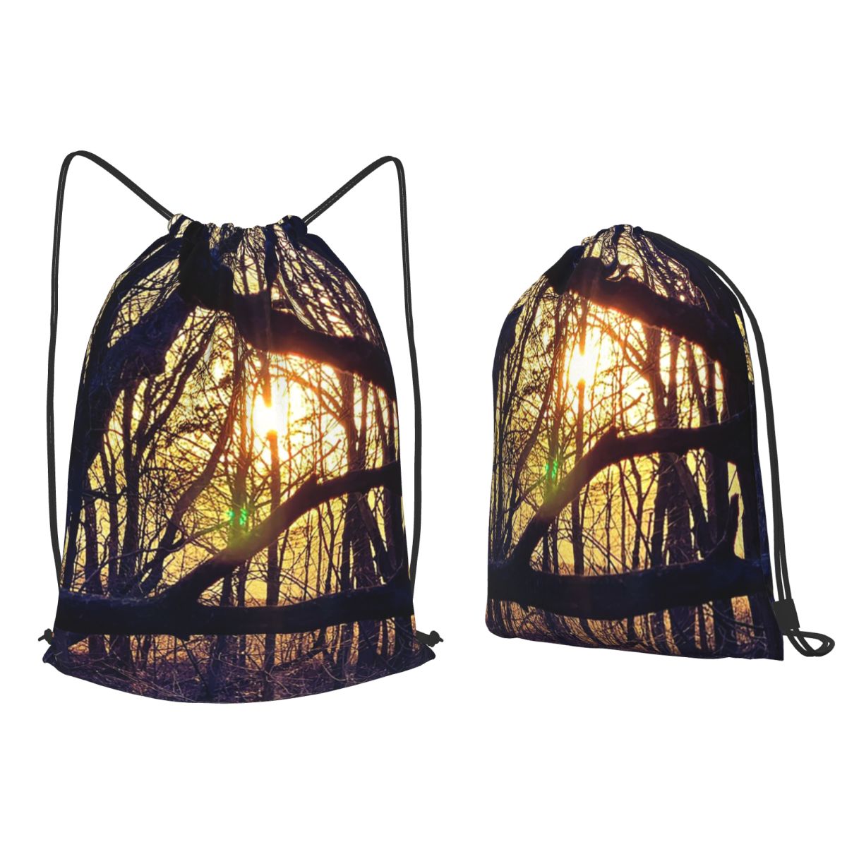 Lighting In Photography Book - Forest Light At Sunset Nature Photography